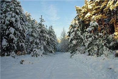 《心灵杀手2》PC或支持光追 《翼星求生》光追对比