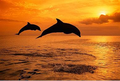 《刀剑神域 异绊集结》Steam页面上线 年内发售